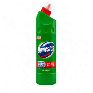 Domestos tirštas tualeto valiklis Mountain Fresh 750 ml